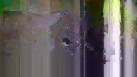 bigsteppa2027 online show from October 20, 2025, 4:13 am