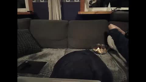 Snapshot of bigswe1 chatting on March 5, 2025, 1:52 am bigswe1 online show from March 5, 2025, 1:52 am