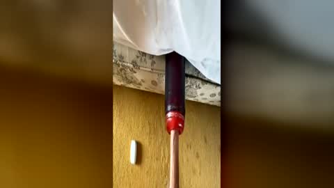 bigukphallus online show from June 14, 2026, 12:51 pm
