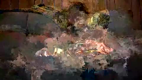 bigwytecock1979 online show from December 11, 2024, 7:31 am