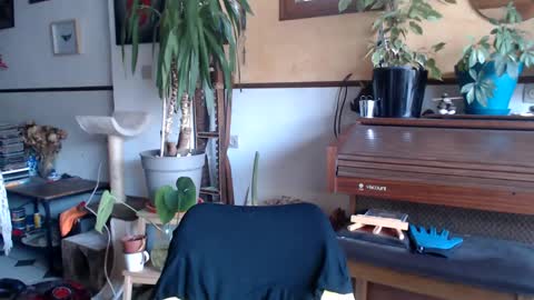 Snapshot of billy_fingercut chatting on March 4, 2025, 7:30 am Billy FingerCut online show from March 4, 2025, 7:30 am