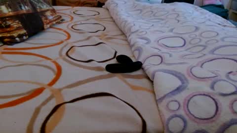 Bill online show from March 16, 2026, 6:50 am