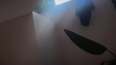 Bisexorcist online show from February 8, 2026, 4:43 pm