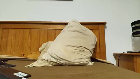 bisexualversat1 online show from December 21, 2025, 12:29 am