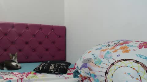 I am everything. Your highness queen  goddess mistress god daddy mommy boss master.  you will address me as such online show from January 26, 2025, 12:22 pm
