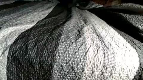 bjaybaby online show from February 16, 2026, 5:47 am