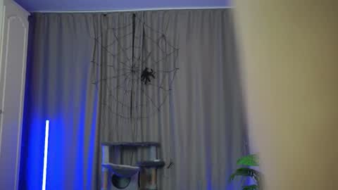 Shall we repeat online show from November 26, 2025, 3:57 pm