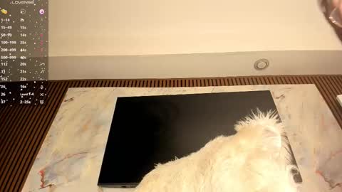 Karina online show from February 20, 2026, 6:26 am