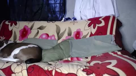 Snapshot of blackpanter_13 chatting on September 27, 2025, 11:48 am Black Panther online show from September 27, 2025, 11:48 am