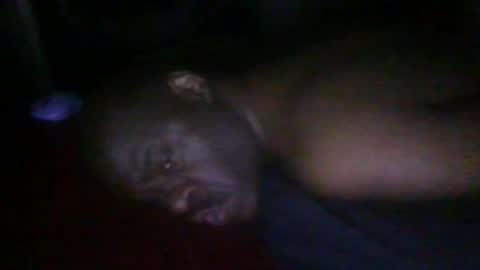 blackteddybear online show from February 19, 2026, 6:20 am