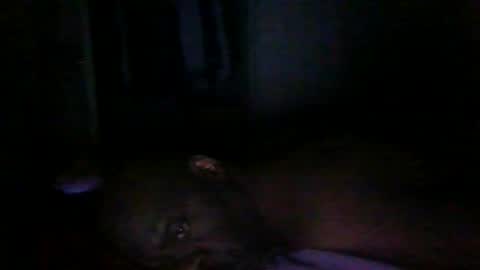 blackteddybear online show from March 9, 2026, 12:58 am