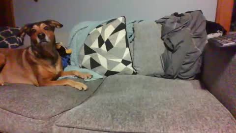 blaw_1321 online show from January 4, 2025, 5:37 am