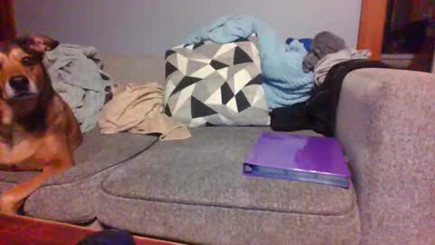 blaw_1321 online show from September 19, 2025, 7:43 am