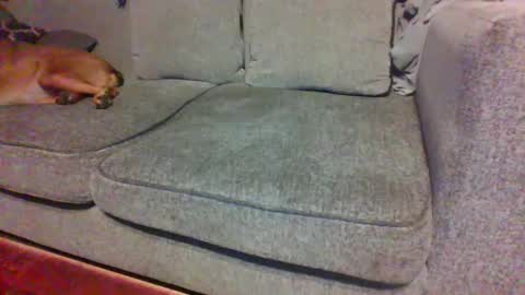 blaw_1321 online show from September 29, 2025, 4:50 am