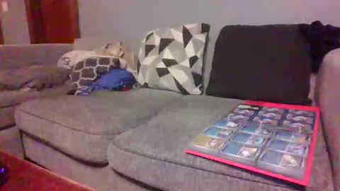 Snapshot of blaw_1321 chatting on February 27, 2026, 9:31 am blaw_1321 online show from February 27, 2026, 9:31 am