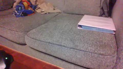 Snapshot of blaw_1321 chatting on March 22, 2026, 5:11 am blaw_1321 online show from March 22, 2026, 5:11 am