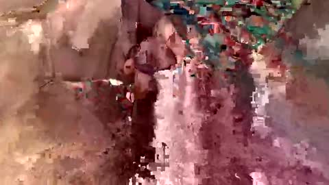 bleez75 online show from February 16, 2026, 10:33 am