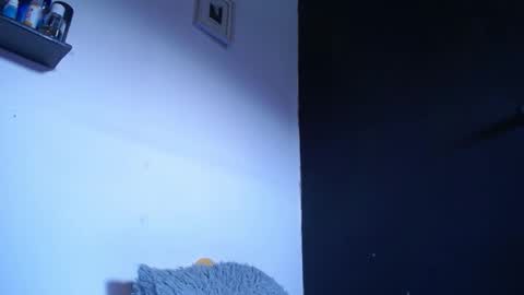 bunbury online show from September 22, 2025, 12:40 pm