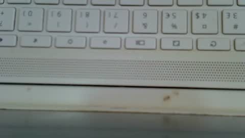 Blurberry online show from August 5, 2026, 10:51 am