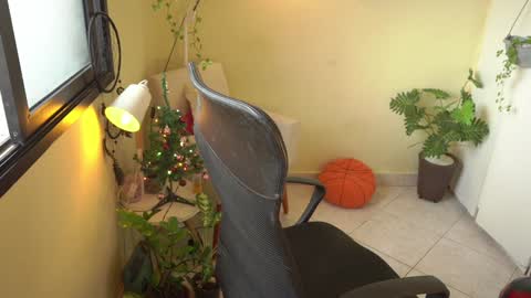 FLORAA online show from December 23, 2024, 10:42 am