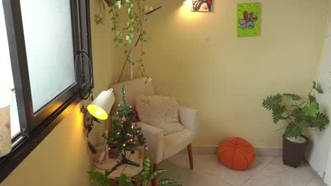 FLORAA online show from December 24, 2024, 11:49 am