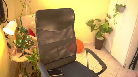 FLORAA online show from December 26, 2024, 8:21 pm