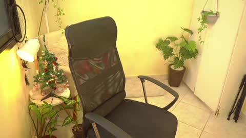 FLORAA online show from December 27, 2024, 8:28 pm