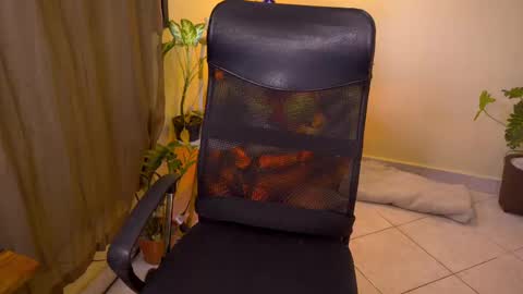 FLORAA online show from October 28, 2025, 10:19 am