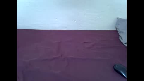 Snapshot of blushing_bunny chatting on February 7, 2026, 12:14 am Bunny online show from February 7, 2026, 12:14 am