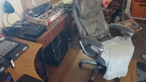 harry cockins online show from September 20, 2025, 7:31 am