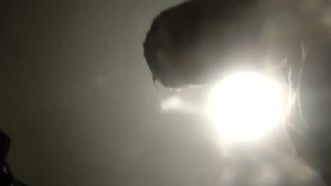 bobby160968 online show from February 24, 2025, 6:26 pm