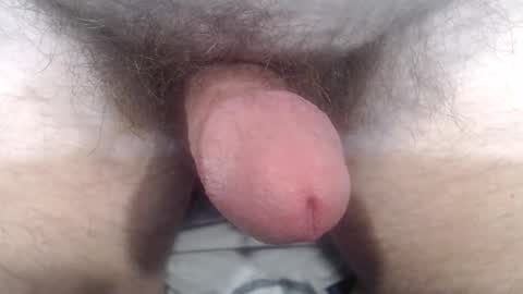 Snapshot of bobswan chatting on October 24, 2025, 3:41 pm bobswan online show from October 24, 2025, 3:41 pm