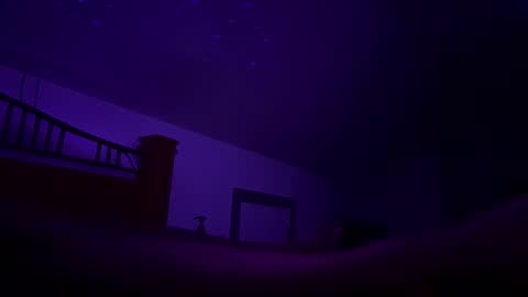 Snapshot of bodiddly64 chatting on October 12, 2025, 10:36 am bodiddly64 online show from October 12, 2025, 10:36 am