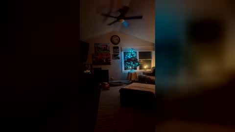 bodiddly64 online show from December 14, 2025, 6:19 am