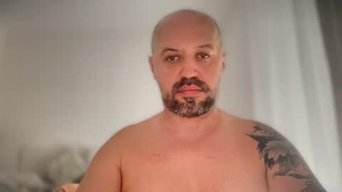 Bold online show from July 7, 2026, 9:13 am