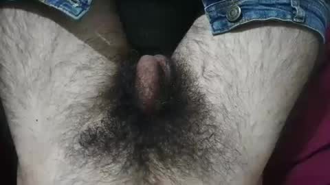Snapshot of bomvemcam chatting on April 29, 2026, 9:02 am Im Bom - Tip if You Liked my Hairy Body - Private Show is Open - Read more about me in the bio below online show from April 29, 2026, 9:02 am