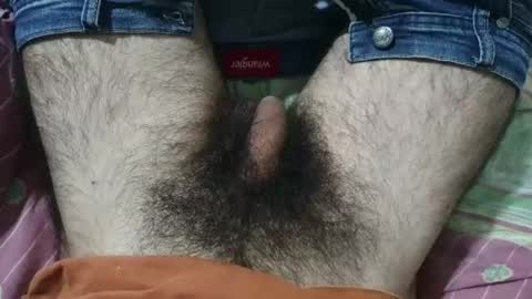 Snapshot of bomvemcam chatting on May 29, 2026, 8:23 am Im Bom - Tip if You Liked my Hairy Body - Private Show is Open - Read more about me in the bio below online show from May 29, 2026, 8:23 am