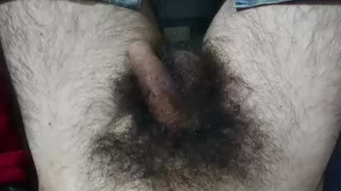 Snapshot of bomvemcam chatting on July 7, 2026, 7:23 am Im Bom - Tip if You Liked my Hairy Body - Private Show is Open - Read more about me in the bio below online show from July 7, 2026, 7:23 am