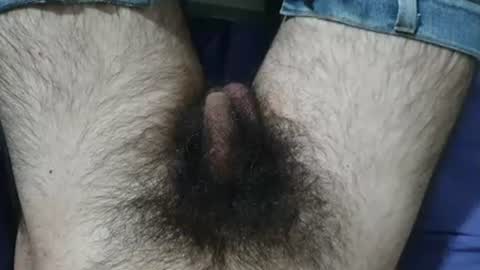 Snapshot of bomvemcam chatting on July 8, 2026, 9:25 am Im Bom - Tip if You Liked my Hairy Body - Private Show is Open - Read more about me in the bio below online show from July 8, 2026, 9:25 am