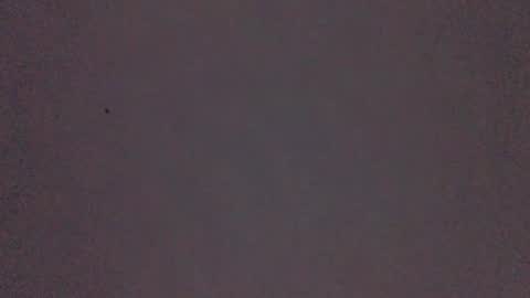 bonershow online show from November 21, 2025, 2:27 pm