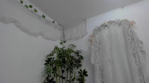   online show from July 10, 2026, 12:37 am