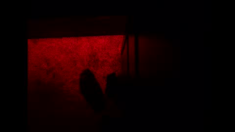 Snapshot of bonny8723 chatting on November 3, 2025, 10:21 pm bonny8723 online show from November 3, 2025, 10:21 pm