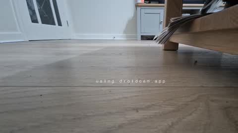 Snapshot of bonny8723 chatting on January 13, 2026, 6:57 pm bonny8723 online show from January 13, 2026, 6:57 pm