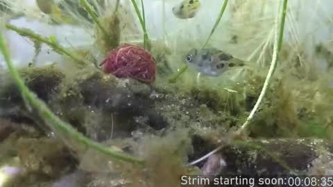 Booker Baxton online show from November 6, 2025, 4:02 am