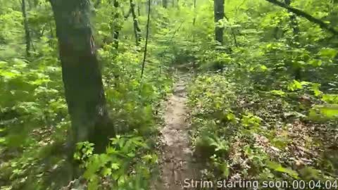 Booker Baxton online show from November 29, 2025, 4:04 am