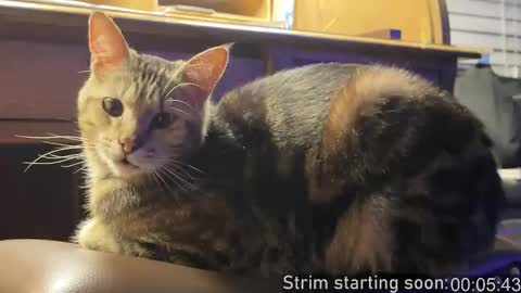 Booker Baxton online show from February 5, 2026, 4:06 am