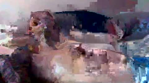 boomer64814390 online show from July 12, 2026, 7:32 am