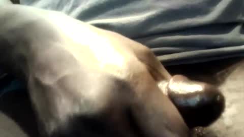 Snapshot of botofogo chatting on October 12, 2025, 1:59 am botofogo online show from October 12, 2025, 1:59 am