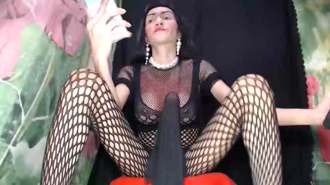 Snapshot of boucinghugehardcock chatting on October 2, 2025, 6:31 am A M A N D A  MONSTERCOCK online show from October 2, 2025, 6:31 am