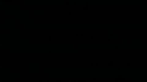 boxersnut1 online show from February 17, 2026, 12:29 am